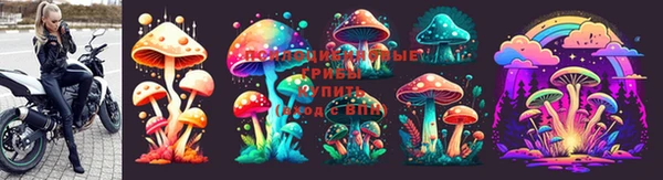 гидропоника Алексеевка
