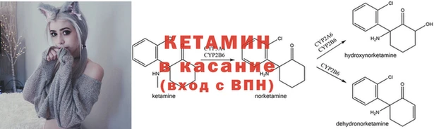 стафф Алексин
